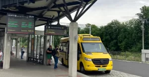 Na Rynek dojedziemy bezpłatnym autobusem. Nową linię obsłużą autobusy elektryczne