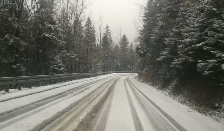śnieg