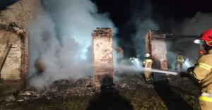 Interwencja straży pożarnej przy ul. Darwina w Zaborzu - 27.04.2025