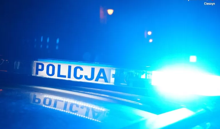 policja, radiowóz, noc
