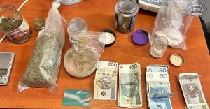 Nieoczekiwany efekt kontroli drogowej. Policjanci zabezpieczyli ponad ćwierć kilograma narkotyków