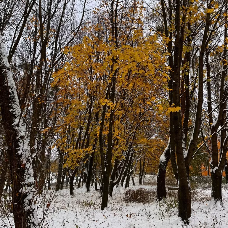 zima,śnieg,cieszyn,spacer,terazwcieszynie,fotodnia,instagram